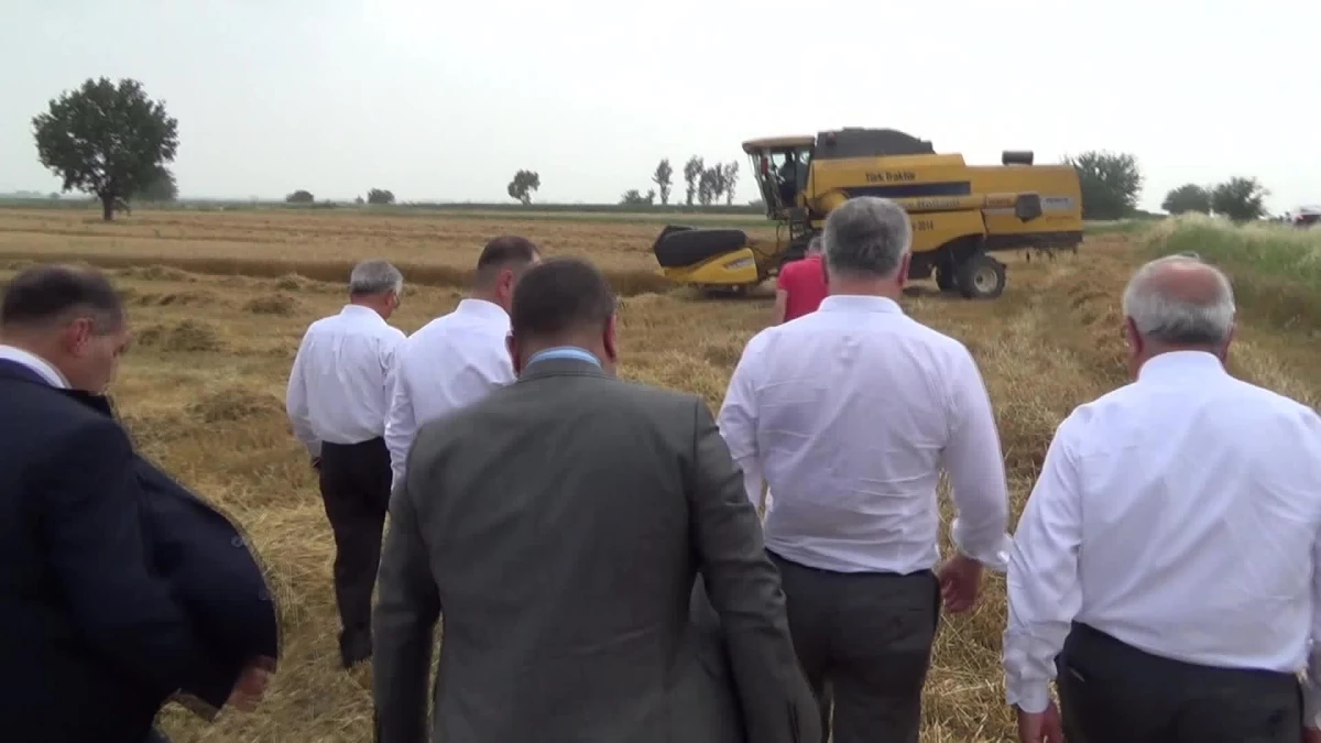 CHP\'li Emir, Osmaniye\'de Hasat Yapılan Buğday Tarlasında: "Çiftçi, Buğday Taban Fiyatı Bekliyor. Hem Üretiyor, Hem Sömürülüyor"