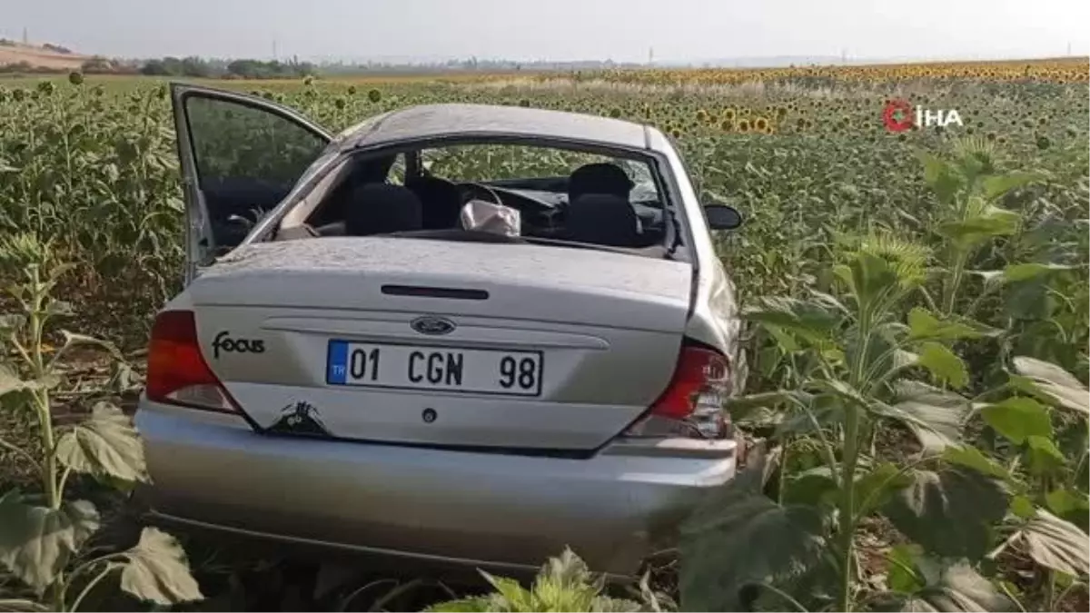 Direksiyon hakimiyetini kaybeden otomobil ayçiçek tarlasına uçtu