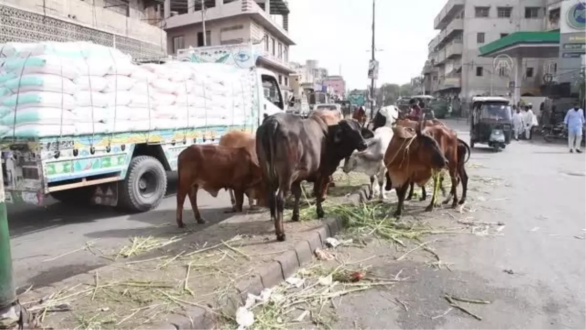 Dünya Çevre Günü öncesinde Karaçi kent merkezinden manzaralar