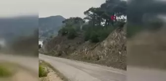 Düşen yıldırım orman yangınına neden oldu