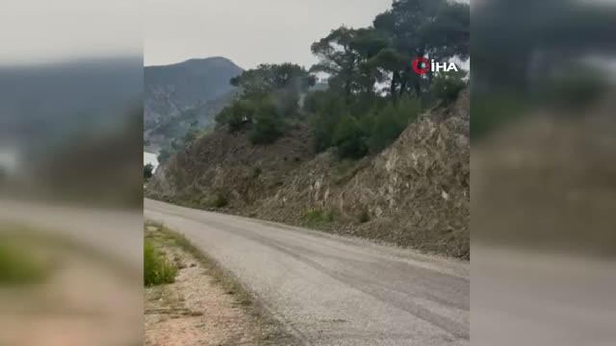 Düşen yıldırım orman yangınına neden oldu