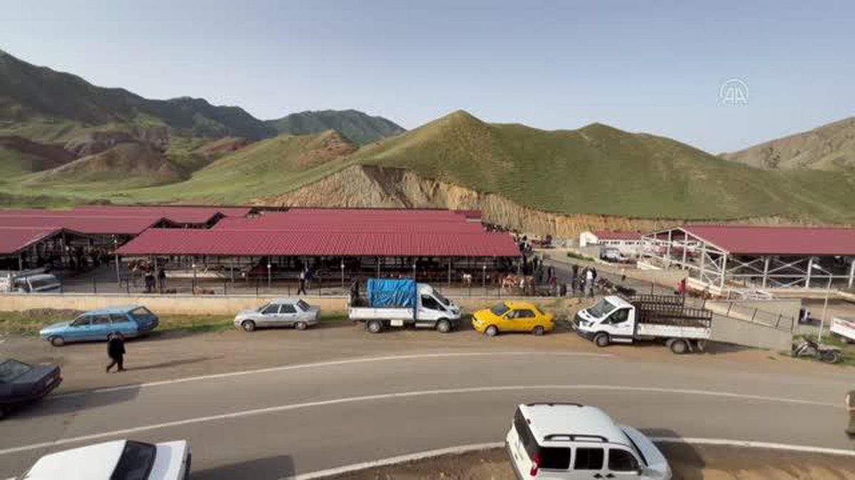 Hayvan pazarlarında kurban hareketliliği başladı