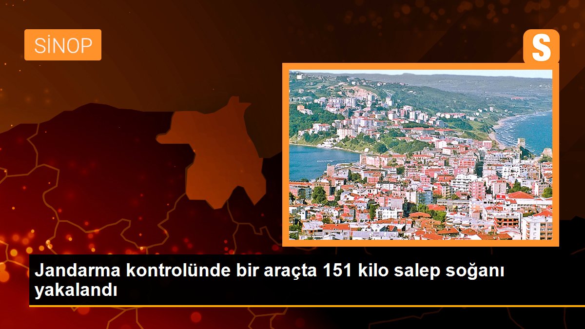 Jandarma kontrolünde bir araçta 151 kilo salep soğanı yakalandı