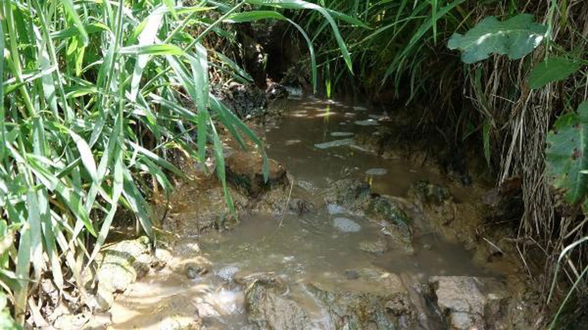 Karadeniz'in dibi çöplüğe dönmüş
