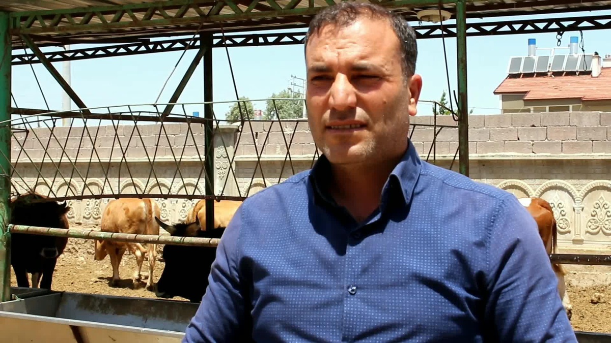 Konyalı Besici: "Yem Maliyetleri Arttı. Kurbanlığı Yüksek Vermek Zorundayız"
