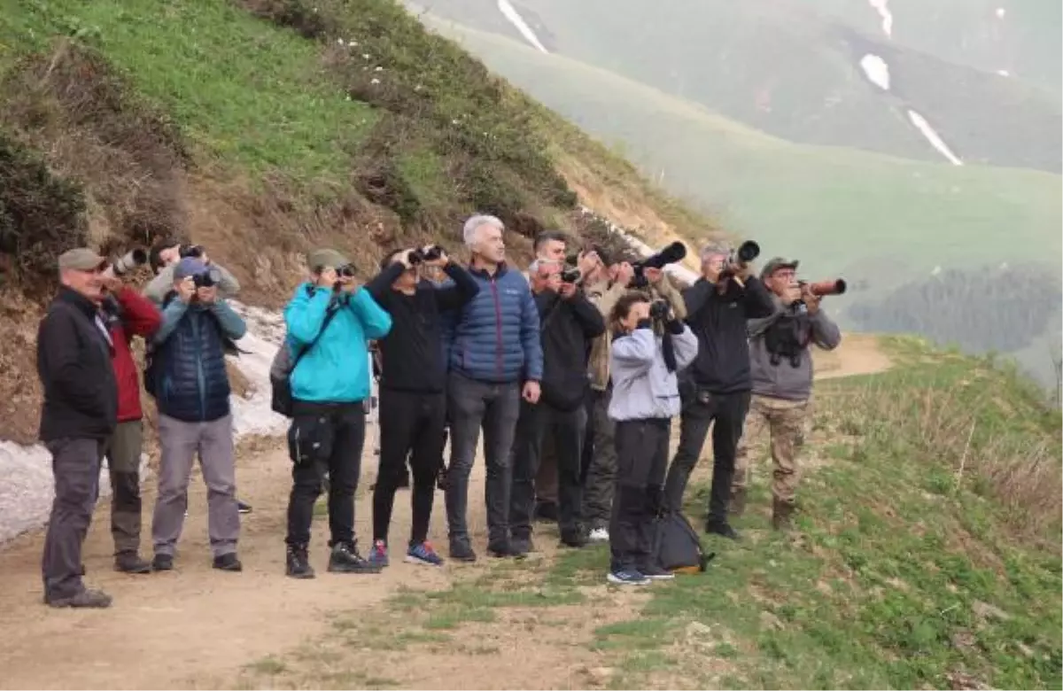 Rize\'deki şenlikte sabahın ilk ışıklarıyla dağ horozu gözlemlediler