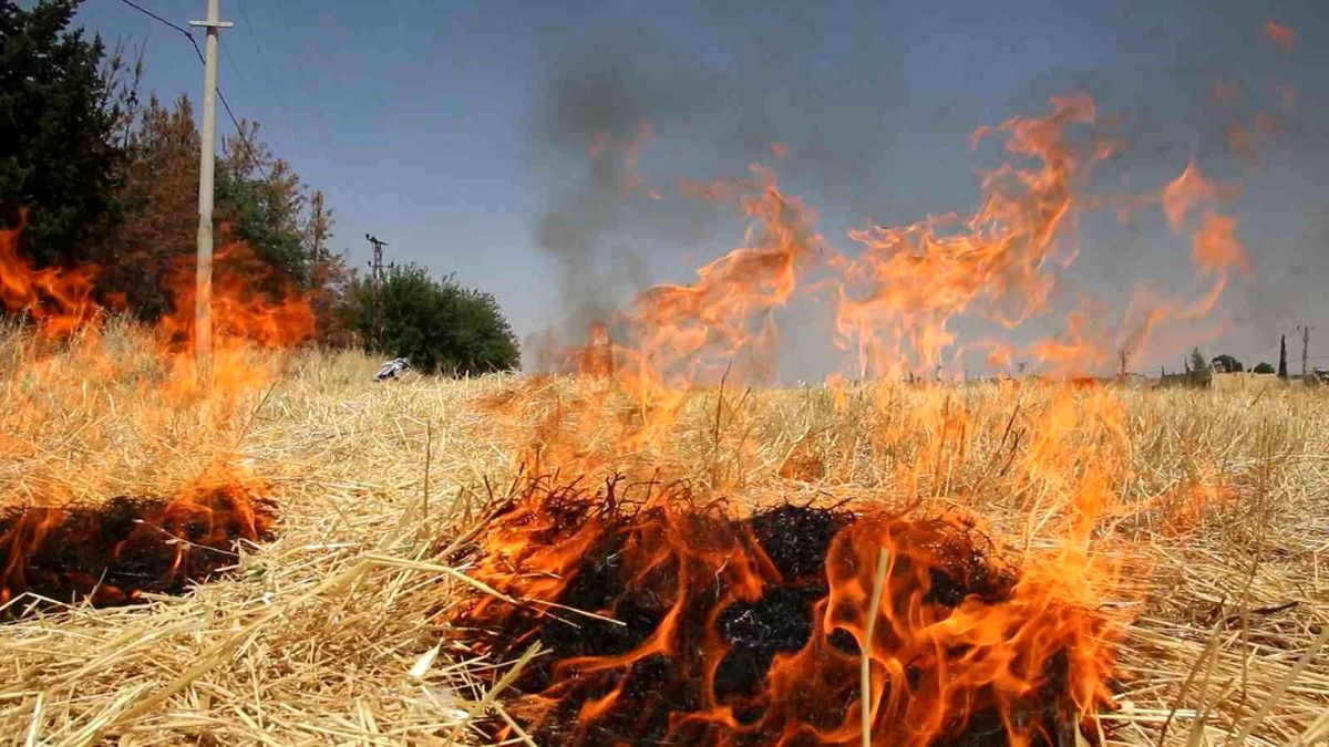 Şanlıurfa\'da çiftçilere anız uyarısı