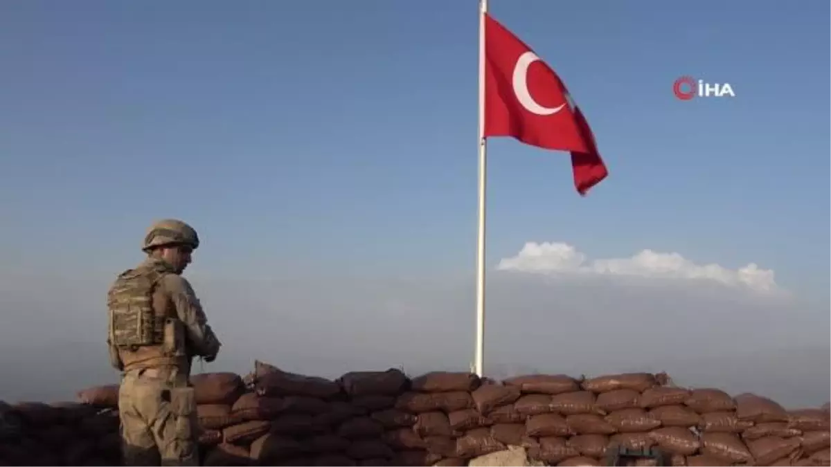 Şırnak\'ta tedavisi tamamlanan kuşlar doğaya bırakıldı