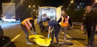 TEM'de yolun karşısına geçerken tırın çarptığı şahıs hayatını kaybetti