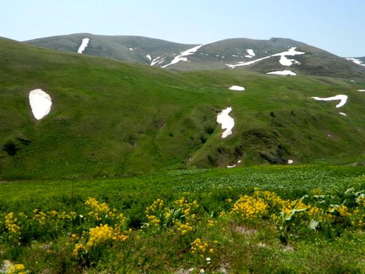 Ardahan\'da yayla yolculuğu başladı