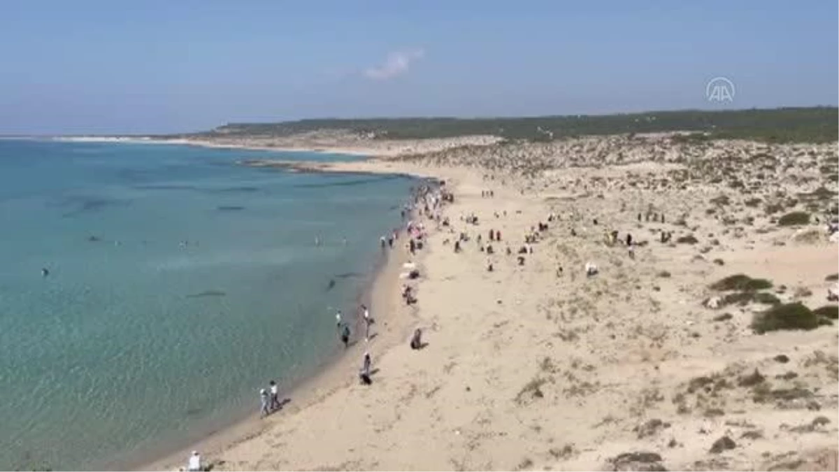 DİPKARPAZ - KKTC\'de çevre gönüllüleri, Karpaz\'daki Ronnas sahilini temizledi