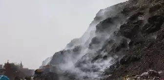 Hindistan'da Dünya Çevre Günü