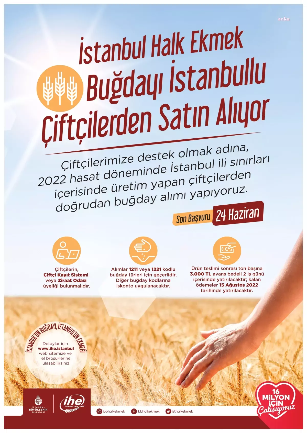 İstanbul Halk Ekmek, İstanbullu Çiftçilerden Buğday Alacak