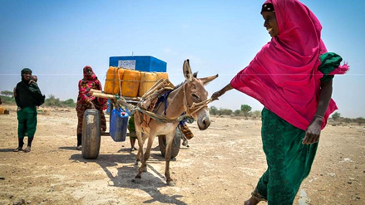 Unocha: Kuraklık, Etiyopya\'daki 7,2 Milyondan Fazla İnsanı Gıda Yardımına Muhtaç Hale Getirdi