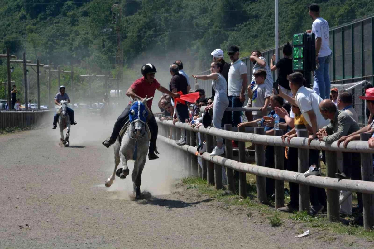 Ünye\'de \'Rahvan At Yarışları\' renkli görüntülere sahne oldu