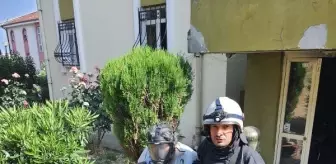 Yangında dumandan etkilenenlere kendi maskelerini verdiler