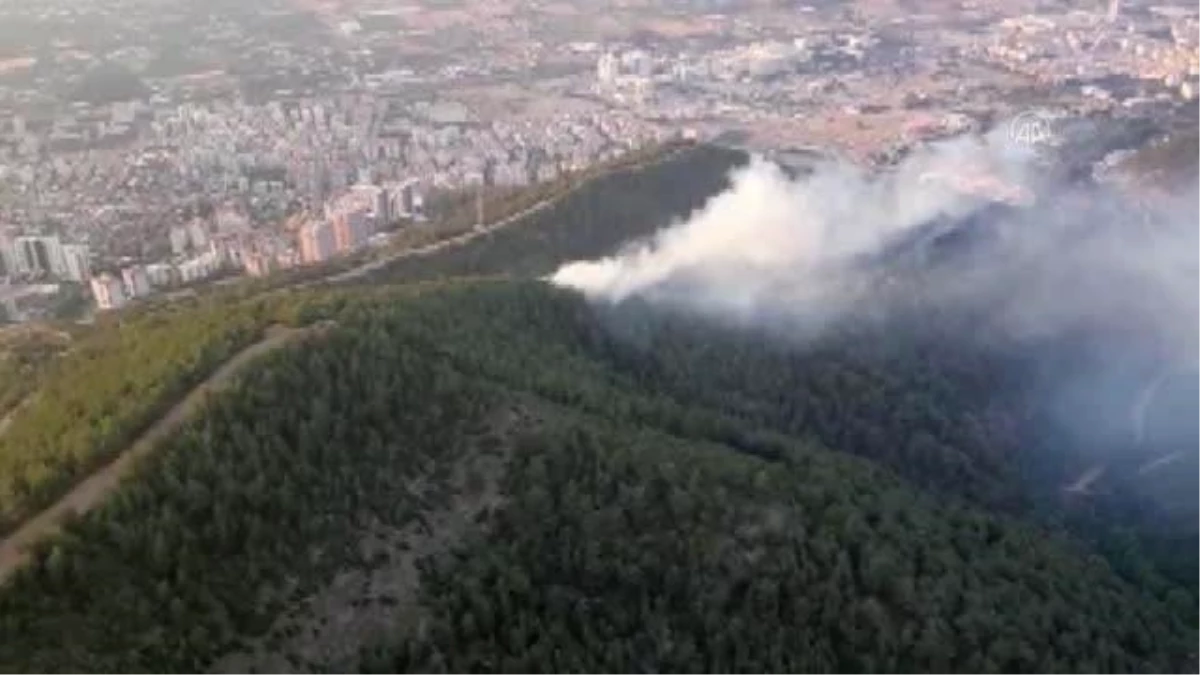 İzmir\'de çıkan orman yangını kontrol altına alındı