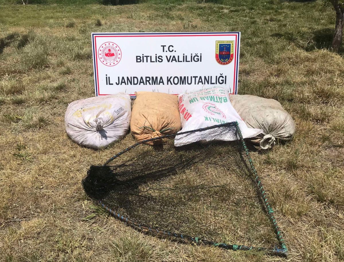 Bitlis\'te kaçak avlanılan 2 ton 350 kilogram inci kefaline el konuldu