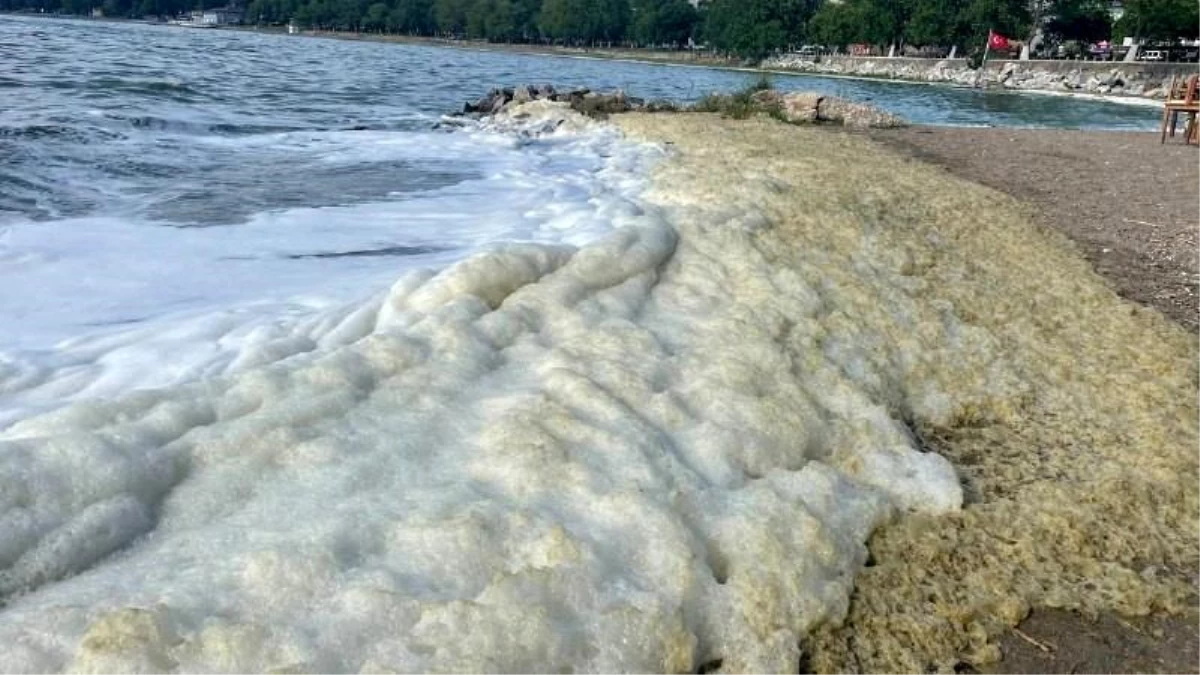 Bursa\'da korkutan siyanobakteri alarmı! İznik Gölü\'ne girmek geçici olarak yasaklandı