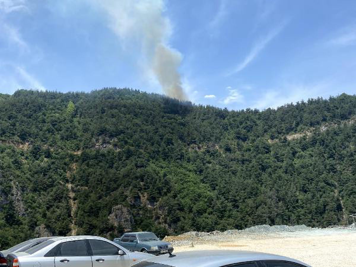 Bursa\'da orman yangını (2)