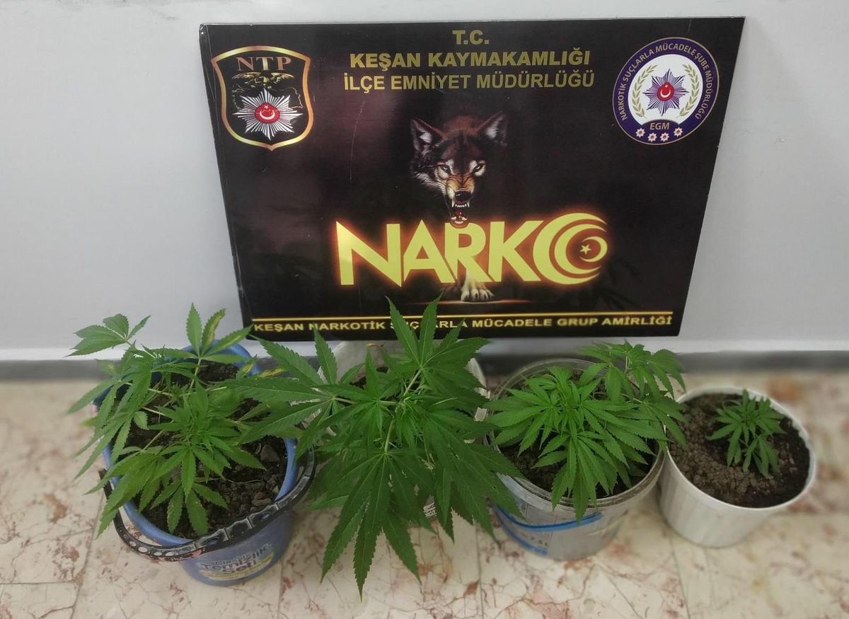 Edirne\'deki uyuşturucu operasyonlarında 2 zanlı tutuklandı