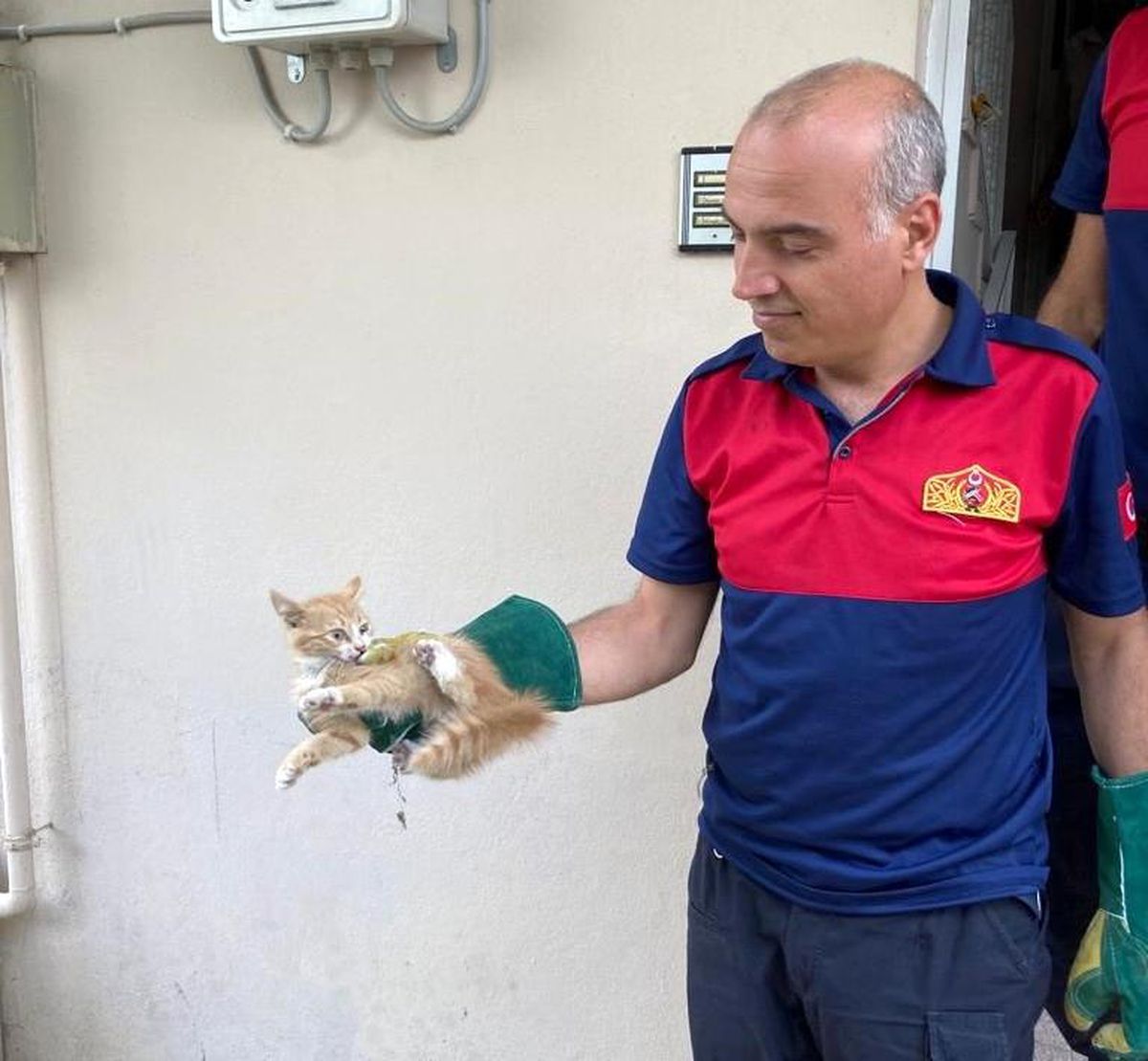 Havalandırma boşluğundaki kedi kurtarıldı