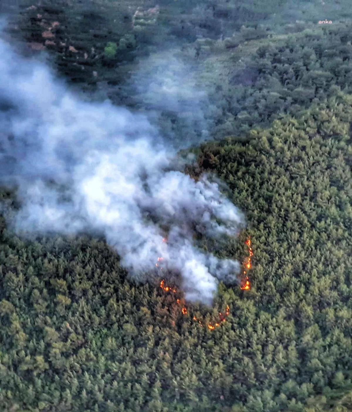 İzmir Balçova\'da Çıkan Orman Yangını Kontrol Altına Alındı