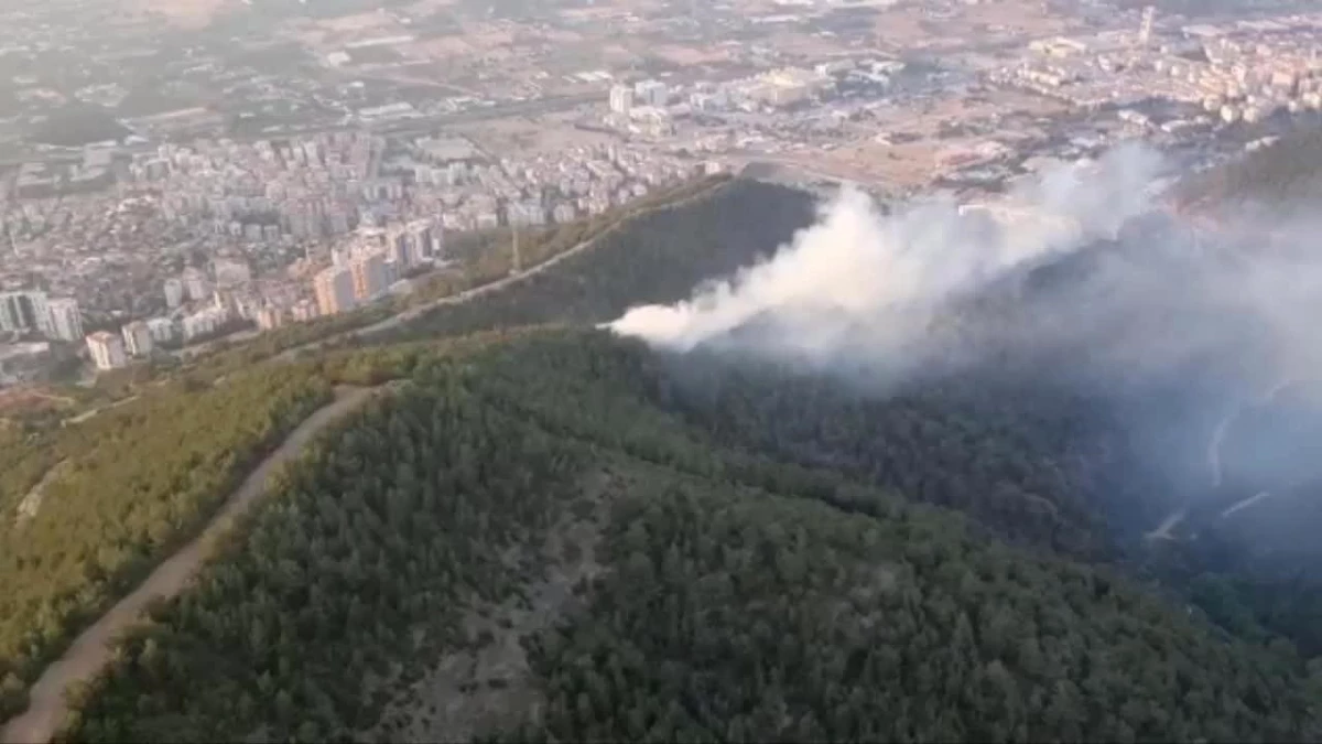 İzmir Balçova\'da Orman Yangını