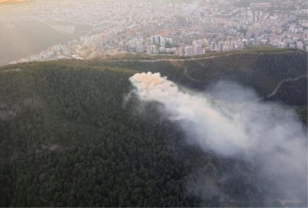 İzmir\'de orman yangını