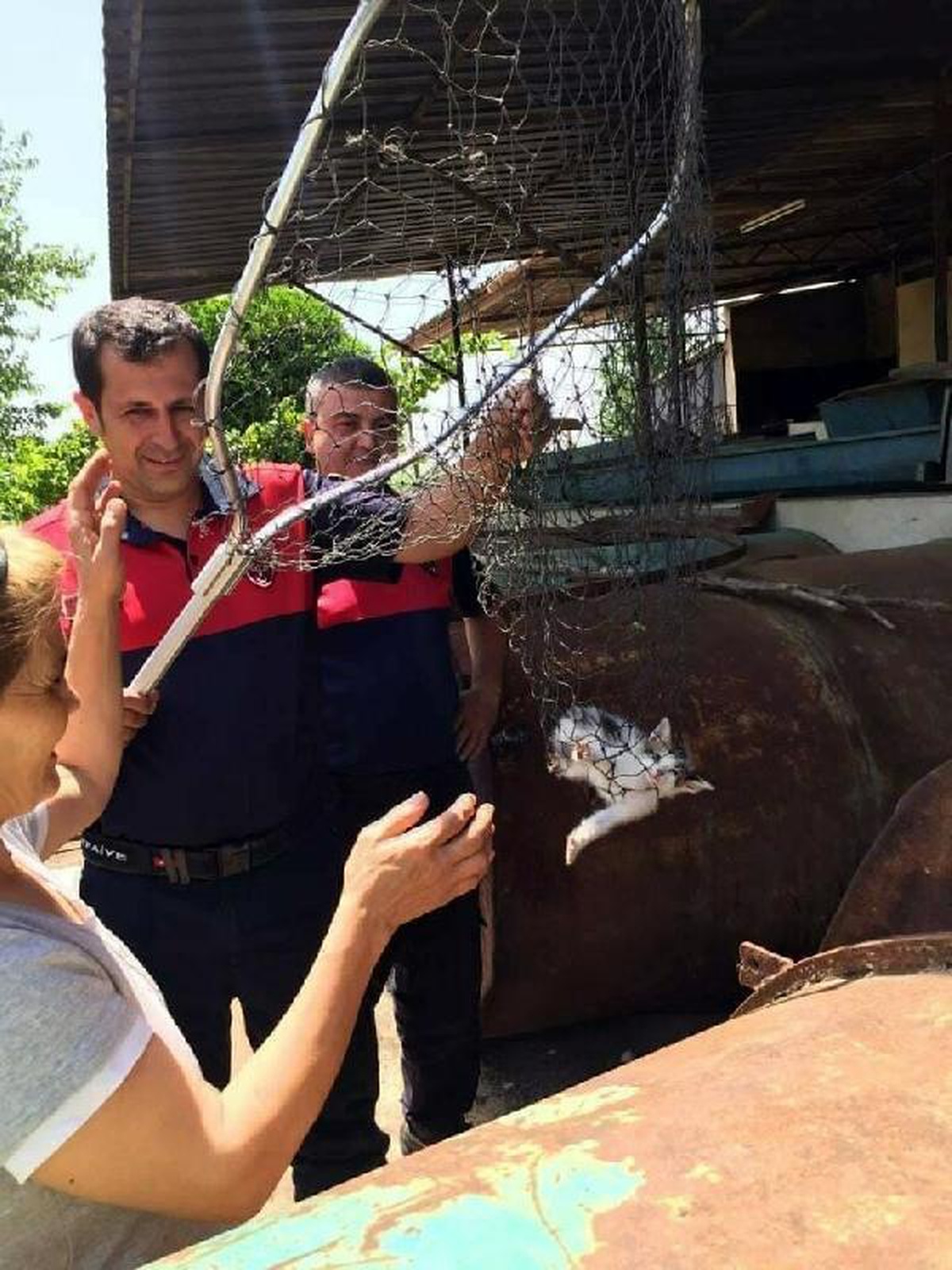 Kuyuya düşen kedi ve 2 yavrusunu itfaiye kurtardı