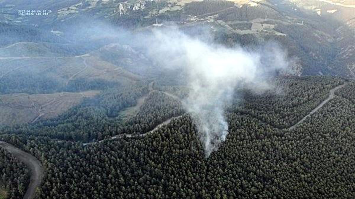Sakarya\'da orman yangını büyümeden söndürüldü