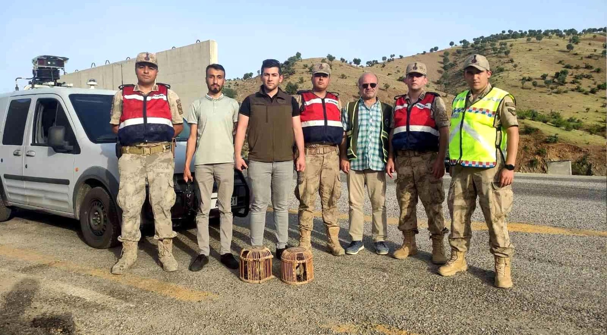 Siirt\'te kaçak avcıya tutanak tutuldu