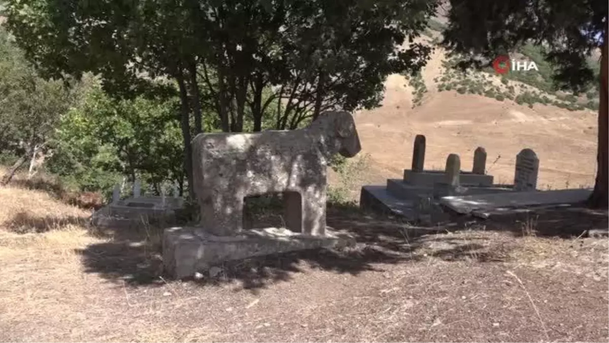 Tescilli mezarlıkta kaçak kazı yaptılar, tarihi yapılara zarar verdiler