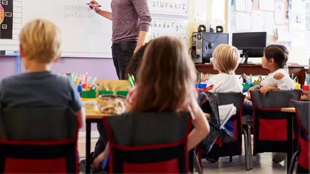 Galler'de böcek ve sürüngen gibi alternatif protein ürünleri gençler üzerinde denenecek