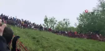İngiltere'de 600 yıllık gelenek: Peynir yuvarlama yarışması
