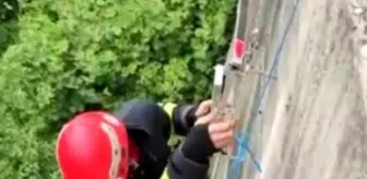 İtfaiye ekiplerinden 'tavuk kurtarma' operasyonu