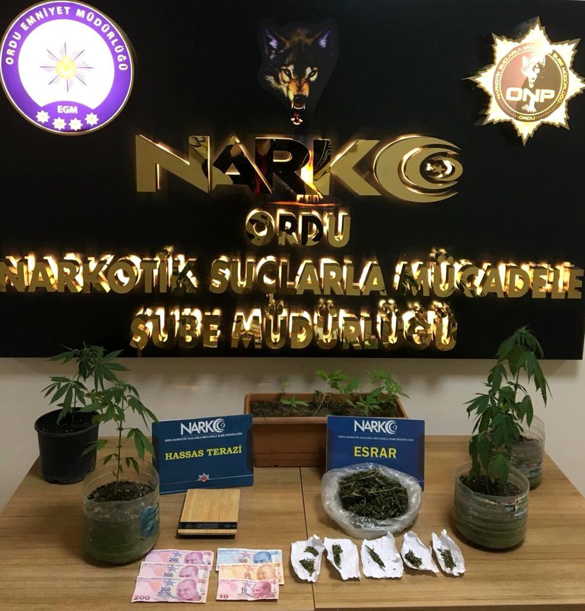 Ordu'da 3 torbacı tutuklandı