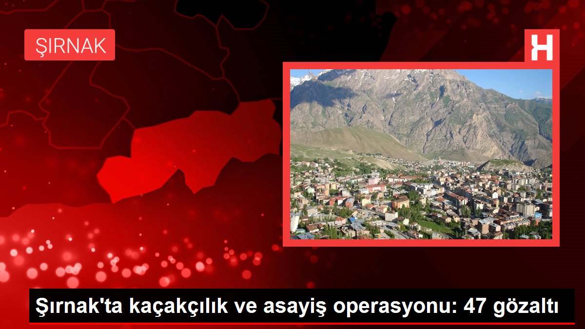 Şırnak'ta kaçakçılık ve asayiş operasyonu: 47 gözaltı