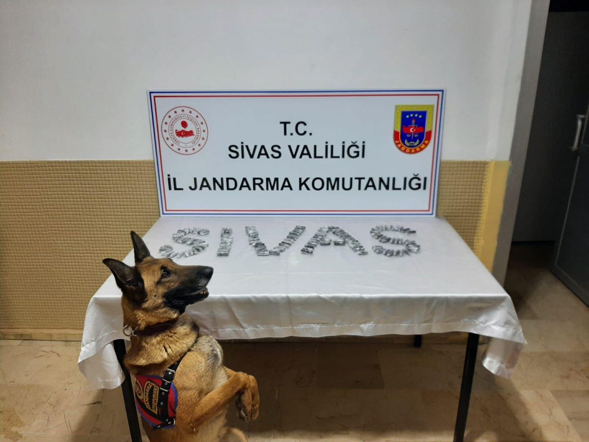Sivas\'ta midesinde uyuşturucuyla yakalanan yabancı uyruklu zanlı tutuklandı
