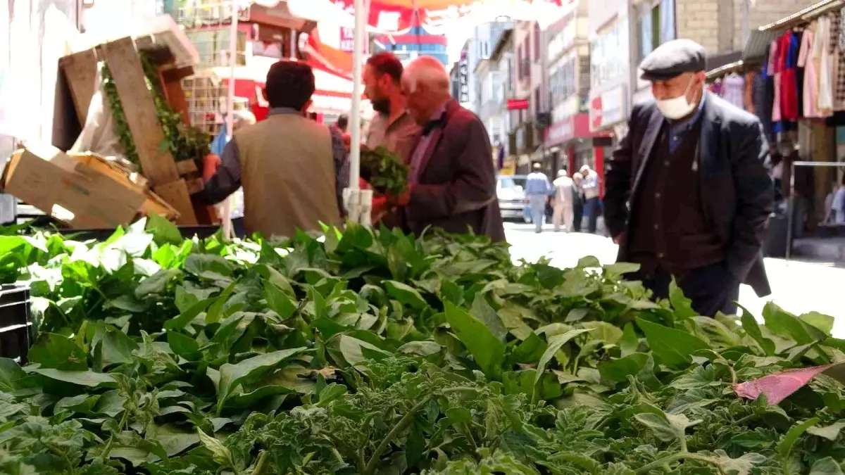 Van\'da sebze fideleri yoğun talep görüyor