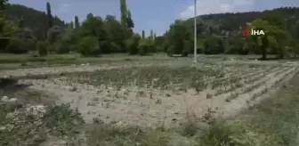 Yeşildere köyündeki selin oluşturduğu tahribat, gözler önüne serildi