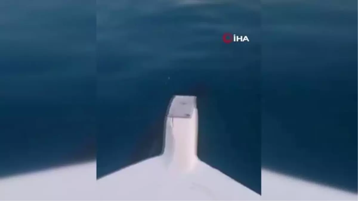 Yunus balığının tekneye eşlik ettiği anlar kamerada
