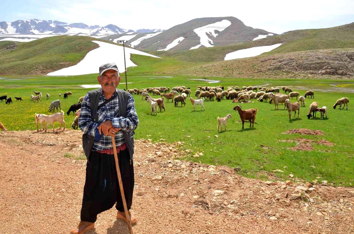 Antalya'da Yörüklerin karla kaplı yayla serüveni başladı