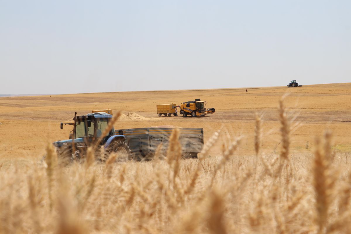 Diyarbakır ve Mardin\'deki üreticiler hububat alım fiyatlarını değerlendirdi