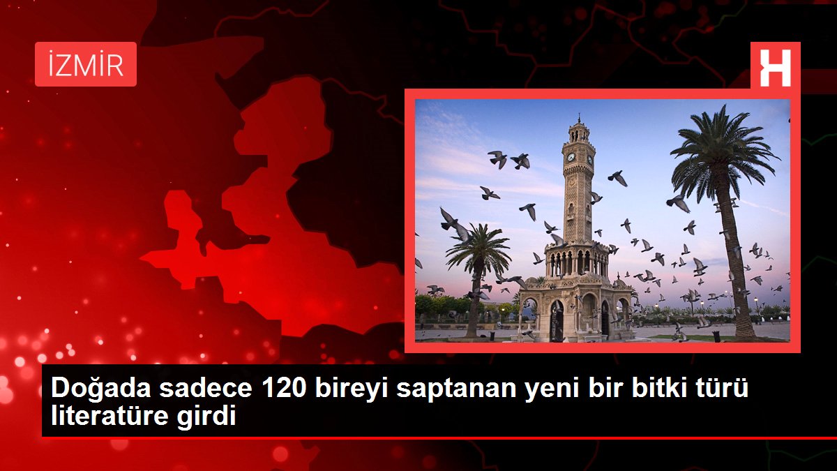 Doğada sadece 120 bireyi saptanan yeni bir bitki türü literatüre girdi