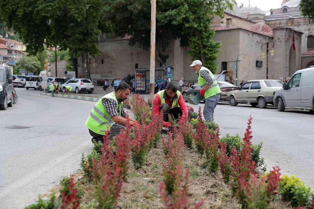 Kütahya\'da çiçeksiz refüj kalmayacak