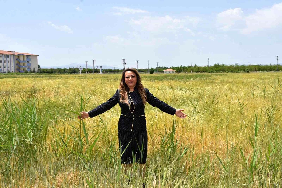 MTÜ'den tahıl üretimine destek