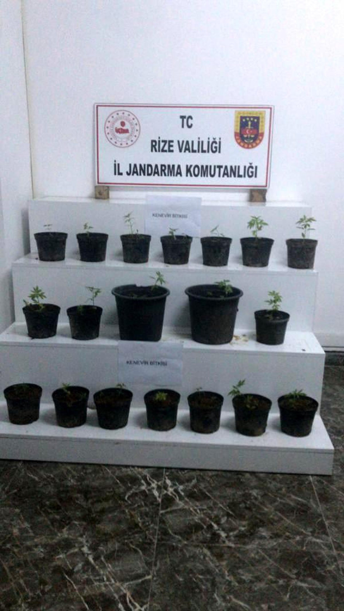 Rize\'de yapılan uyuşturucu operasyonlarında 3 kişi gözaltına alındı