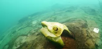 Sualtı Görüntü Yönetmeni Ceylan, Van Gölü'ndeki kirliliği görüntüledi