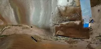Tiftiğiyle meşhur Ankara keçisinin oğlakları merayla buluştu